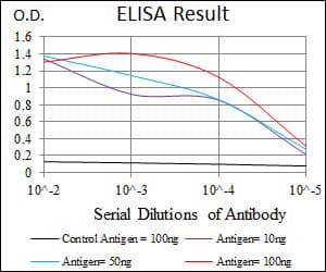 CCL2 / MCP1 Antibody (clone 2D8)