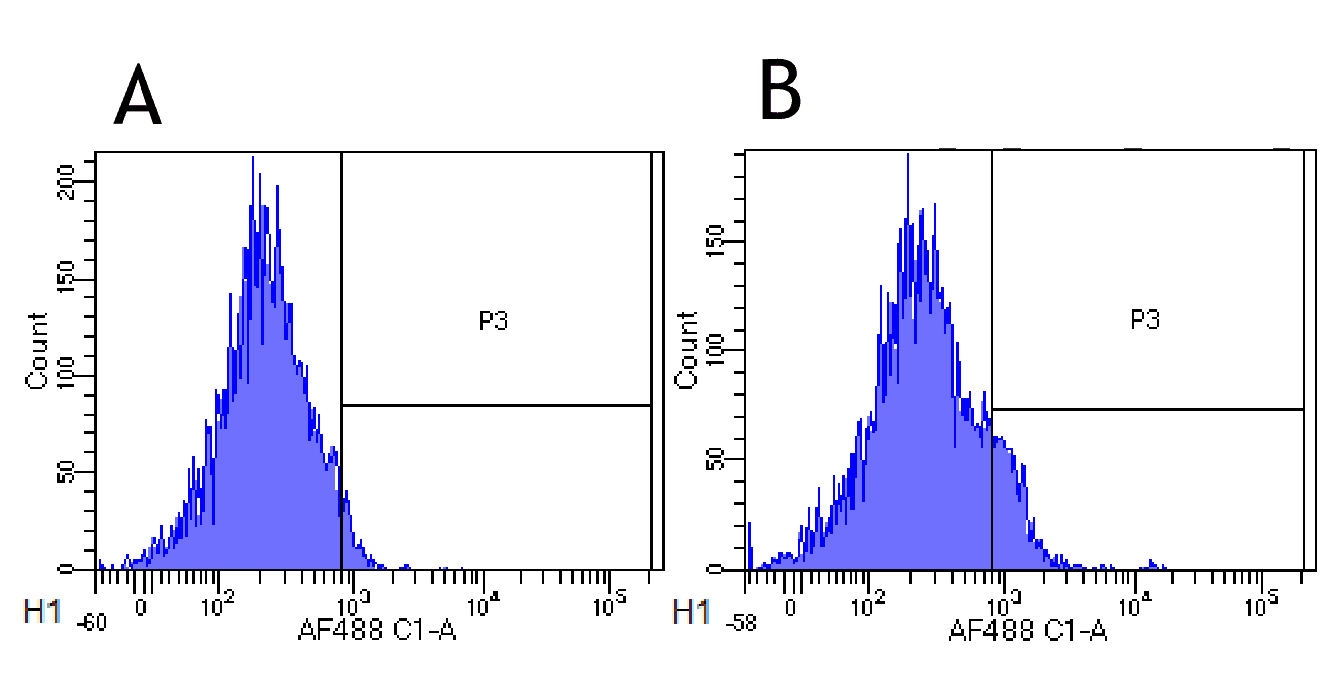 IL2RA / CD25 Antibody (IL-2R alpha (CD25), clone Basiliximab)
