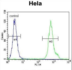 LRRC45 Antibody (aa615-643)