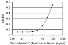 Tuberin / TSC2 Antibody (clone 1C1)