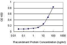 Monoclonal Mouse anti-Human PRKX Antibody (clone 1H7, WB)