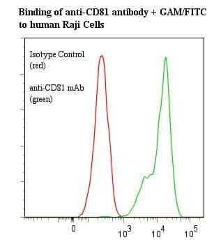 Monoclonal Mouse anti-Human CD81 Antibody (clone 1.3.3.22, WB)