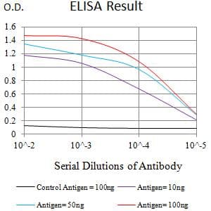 Monoclonal Mouse anti-Human CLEC12A / CD371 Antibody (clone 6B3G8, WB)