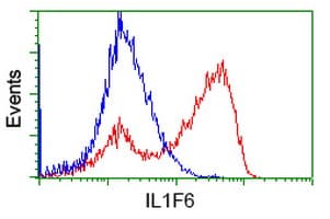 Monoclonal Mouse anti-Human IL36A Antibody (clone OTI3A2, IF, WB)