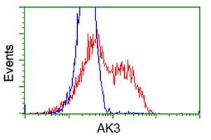AK3 / Adenylate Kinase 3 Antibody (clone OTI5A1)