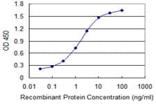 EPHB1 / EPH Receptor B1 Antibody (clone 4G6)