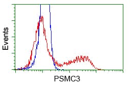 PSMC3 Antibody (clone OTI9F3, Carrier-free)
