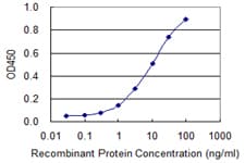 GH2 Antibody (clone 1E11)