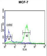 Polyclonal Rabbit anti-Human LUC7L2 Antibody (aa341-369, IHC, WB)