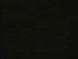 PDX1 Antibody (clone OTI2A12)