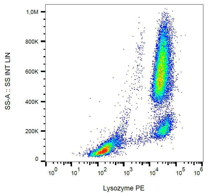 Monoclonal Mouse anti-Human LYZ / Lysozyme Antibody (clone LZ598-10G9, PE)