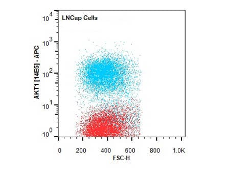 AKT1 Antibody (Internal, clone 14E5.A2.B2.H9)