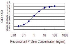 Monoclonal Mouse anti-Human TNFRSF1A / TNFR1 Antibody (clone 7F12, WB)