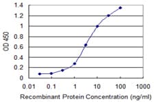 Monoclonal Mouse anti-Human SNCA / Alpha-Synuclein Antibody (clone 2E4, WB)