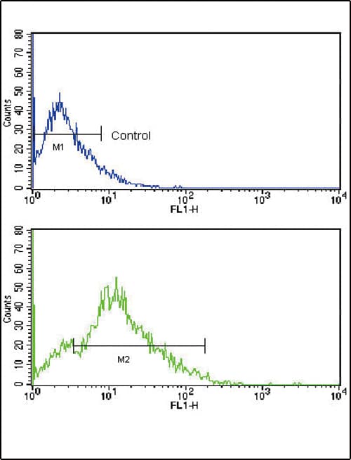 CD3G Antibody (aa48-76)