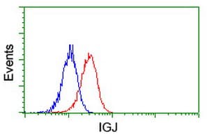 IHC-plus™ JCHAIN / Ig J Chain Antibody (clone OTI2B1)