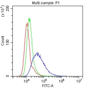 CD58 Antibody
