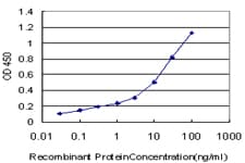 HOXC12 Antibody (clone 1C6)
