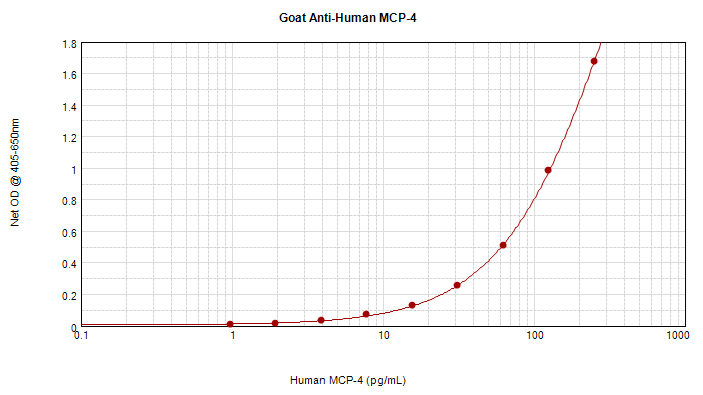 Polyclonal Goat anti-Human CCL13 / MCP4 Antibody (WB)