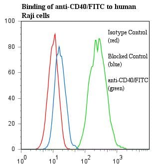 CD40 Antibody (clone EA-5, FITC)