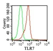 TLR7 / CD287 Antibody (aa562-839, clone 4G6, Azide-free)