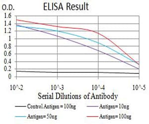 Monoclonal Mouse anti-Human Adiponectin Antibody (clone 1E10D5, WB)