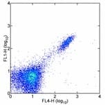 Monoclonal Rat anti-Mouse CD8B / CD8 Beta Antibody (clone H35-17.2, FITC)