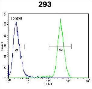 CAMLG / CAML Antibody (aa111-138)