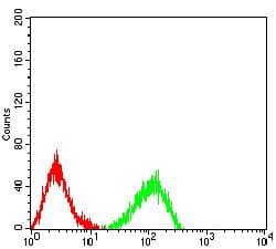 LRP12 Antibody (clone 4E11C5)