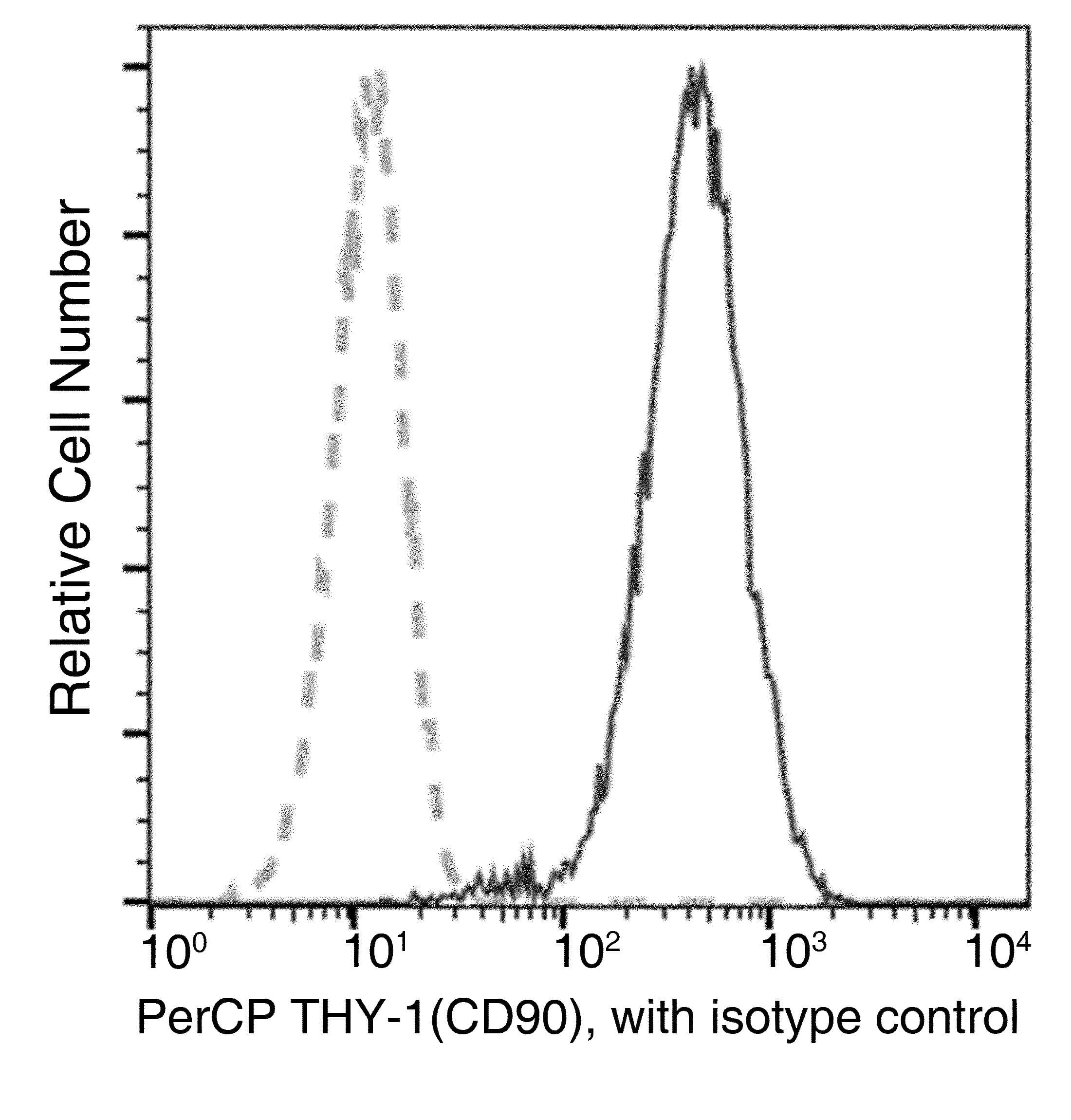 THY1 / CD90 Antibody (clone 10, PerCP)