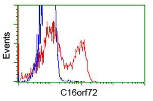 C16orf72 Antibody (clone OTI2D1)