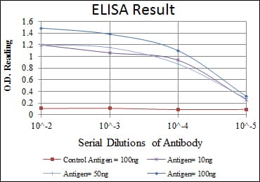 IHC-plus™ FAC1 / BPTF Antibody (clone 2F10)