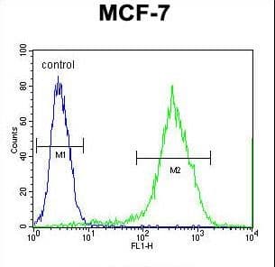MRPS33 Antibody (aa72-100)