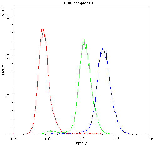 PRKCH / PKC-Eta Antibody (aa30-389)