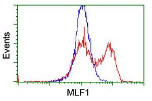 MLF1 Antibody (clone OTI2D6, Carrier-free)
