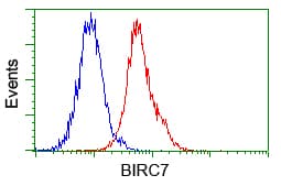 BIRC7 / Livin Antibody (clone OTI1D12, Carrier-free)