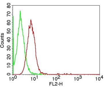ARHGDIB / D4 GDI Antibody