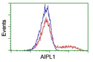 AIPL1 Antibody (clone OTI3B4, Carrier-free)