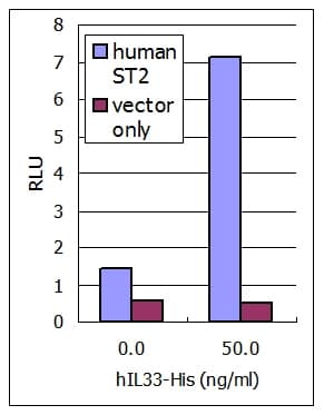 Human IL-33 Protein (Recombinant His)