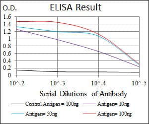 LRP5 Antibody (aa1422-1615, clone 2B11)