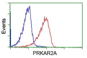 PRKAR2A Antibody (clone OTI1F8)