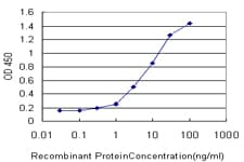 SLIM / FHL1 Antibody (clone 2A9)