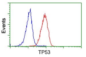 TP53 / p53 Antibody (clone OTI2C4)