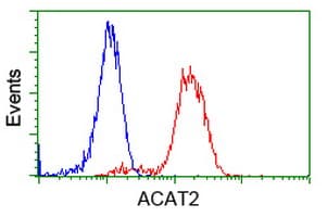 ACAT2 Antibody (clone OTI1B7)