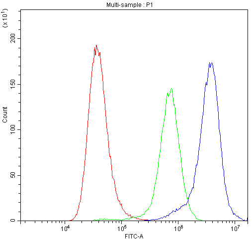 BAX Antibody
