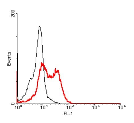 Monoclonal Mouse anti-Human TNFSF9 / CD137L Antibody (clone 41B436, Extracellular Domain, WB)