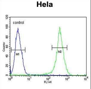 IHC-plus™ Polyclonal Rabbit anti-Human UBXD9 / ASPL Antibody (aa392-418, IHC, WB)