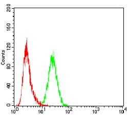 SSH1 Antibody (clone 6C11G9)