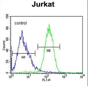 Polyclonal Rabbit anti-Human SLFN12L Antibody (aa95-123, WB)