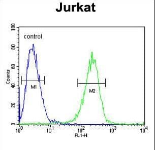 HADHB Antibody (aa315-342)